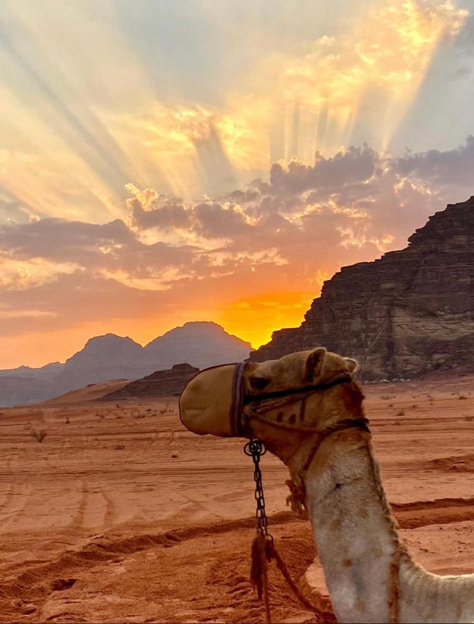 Rum Arjaan Luxury Camp Wadi Rum Exterior photo